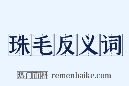 珠毛反义词是什么意思的图片
